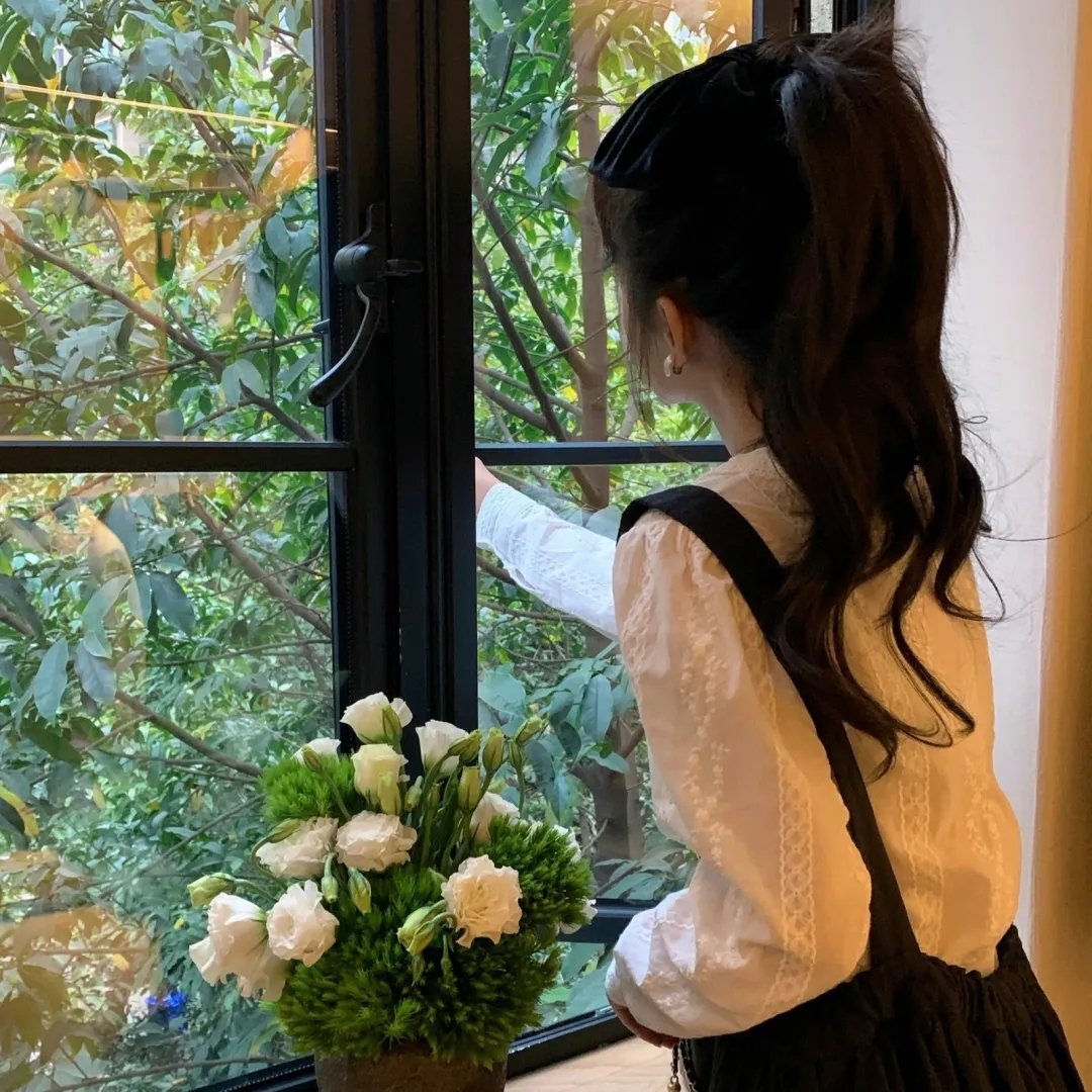 白鸥啊 不要飞起来