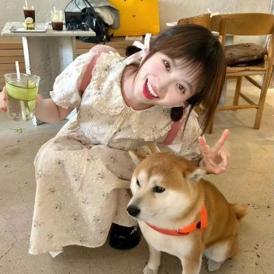 幸福房屋事件簿